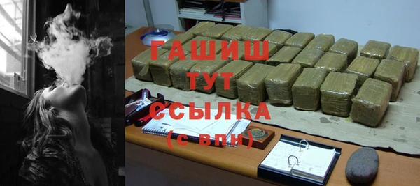 гидра Богданович