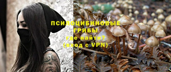 каннабис Беломорск