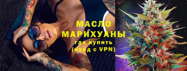 гидра Богданович