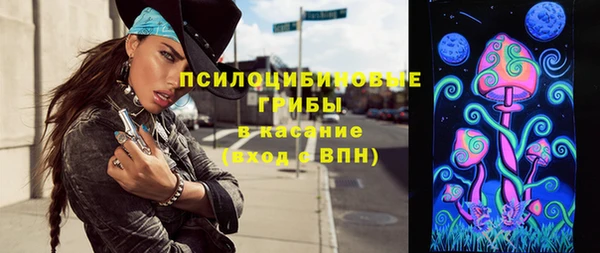 гидра Богданович