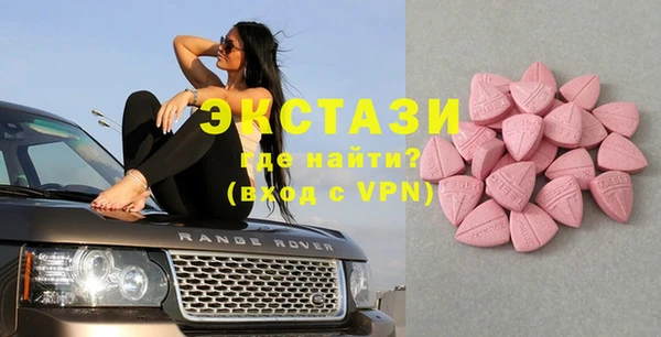 гидра Богданович