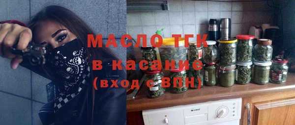гидра Богданович