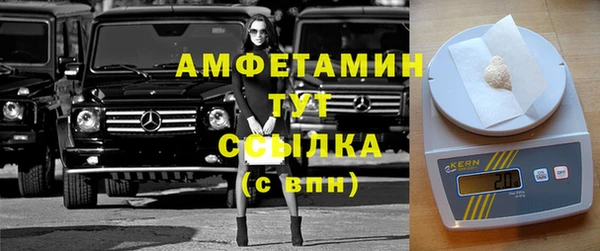 гидра Богданович