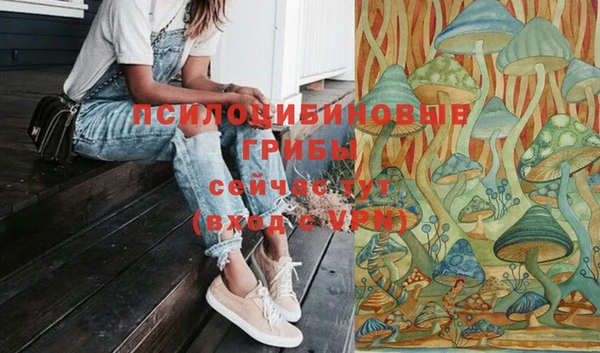 герыч Струнино