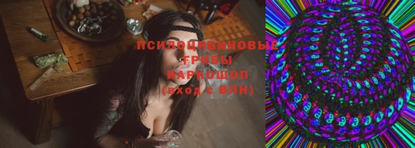 гидра Богданович