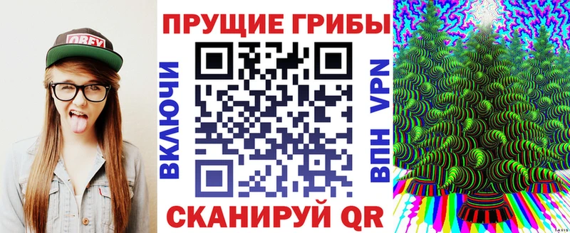 блэк спрут зеркало  Щёлкино  Псилоцибиновые грибы MAGIC MUSHROOMS  что такое наркотик 
